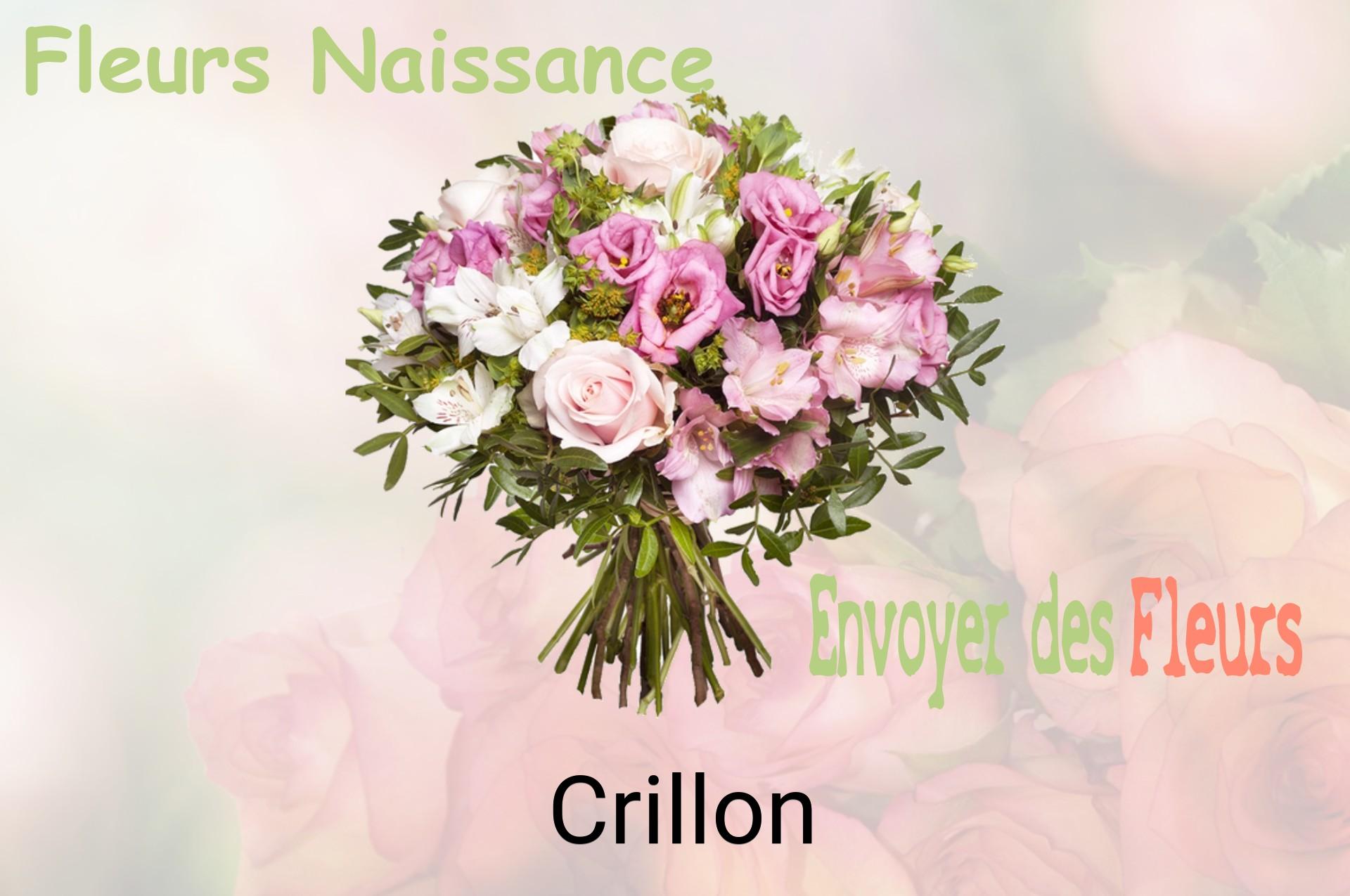 Bouquet de fleurs de naissance livré à Crillon